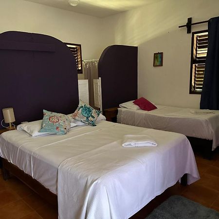Hotel Maya Luna Adults Only Mahahual Eksteriør billede