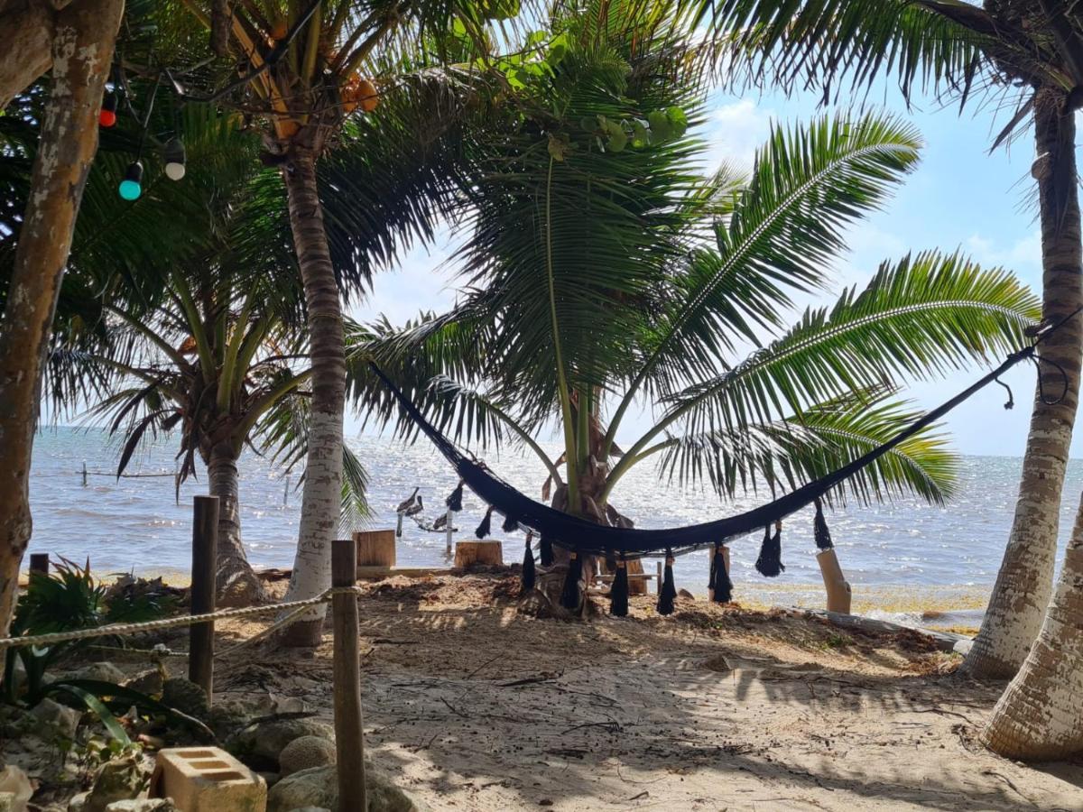 Hotel Maya Luna Adults Only Mahahual Eksteriør billede