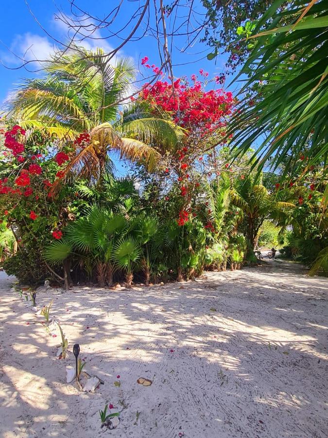 Hotel Maya Luna Adults Only Mahahual Eksteriør billede