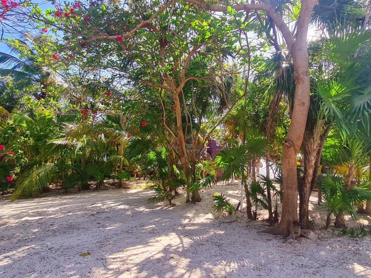 Hotel Maya Luna Adults Only Mahahual Eksteriør billede