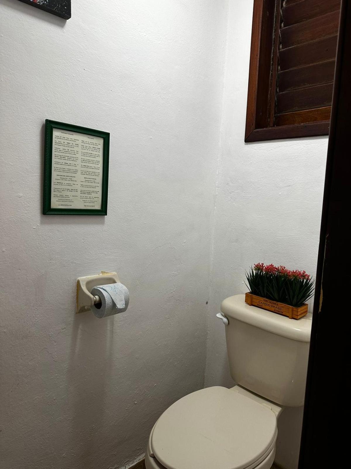Hotel Maya Luna Adults Only Mahahual Eksteriør billede
